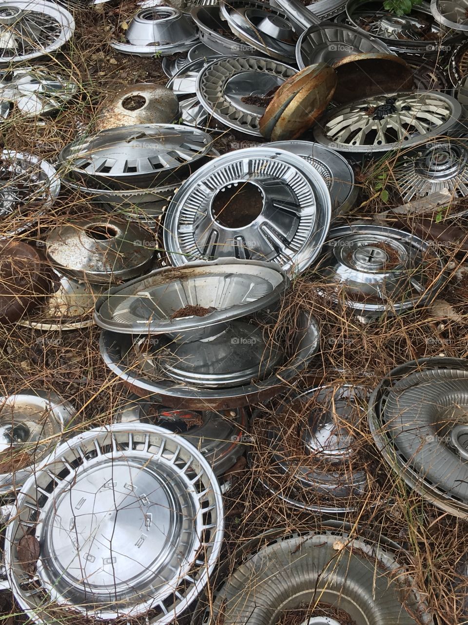 Vintage hubcaps at the junkyard