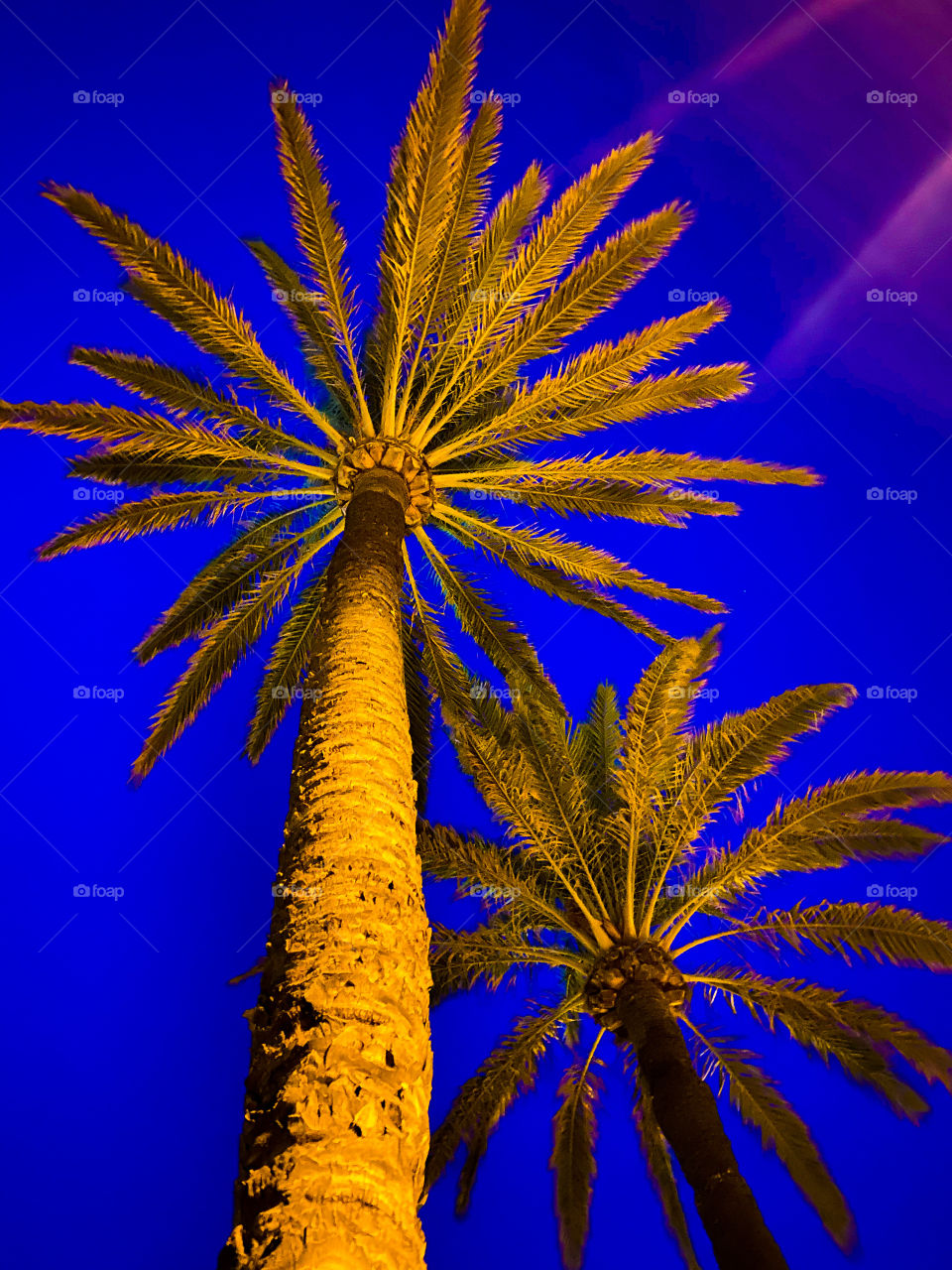 Palma De Mallorca Spain 