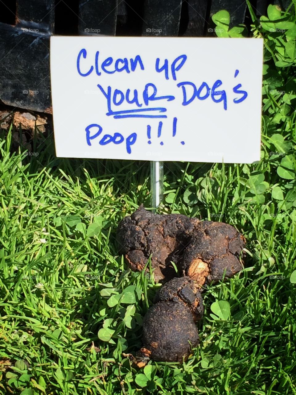 Dog poop with sign
