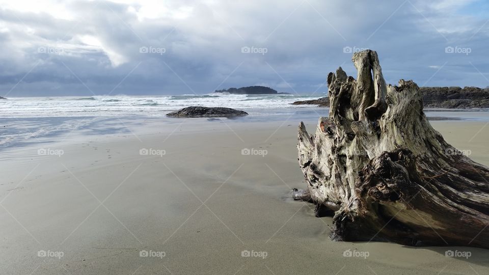 West coast beach in the winter. 