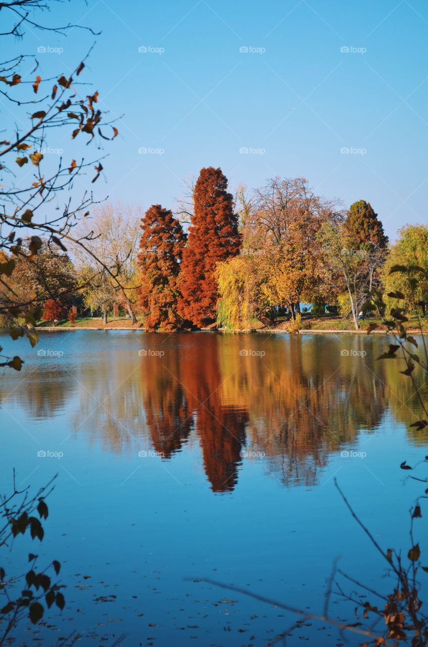 Reflexion in the park