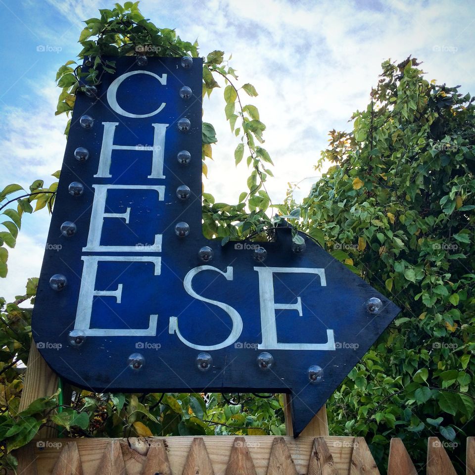 Cheese this way. Cheese Sign