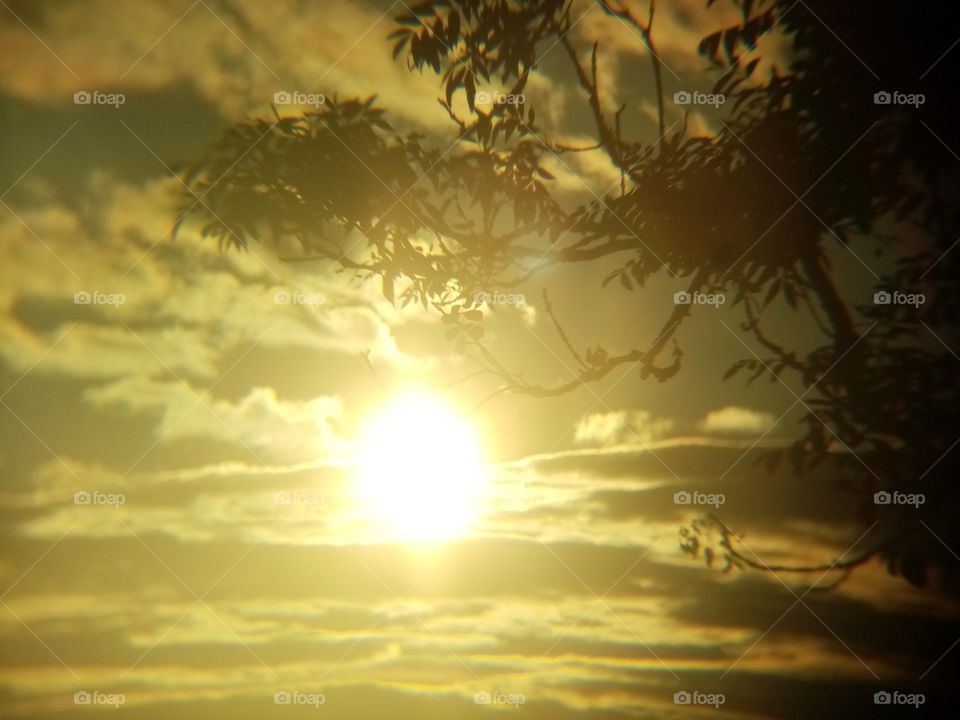 It a sun with a tree