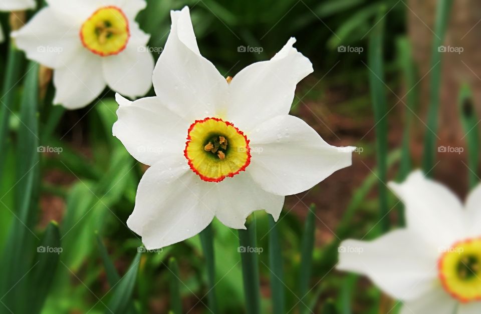 Wishing for signs of Spring