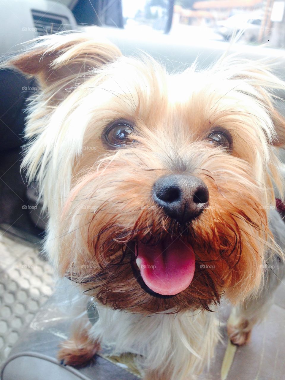 Zoe. To the Groomers