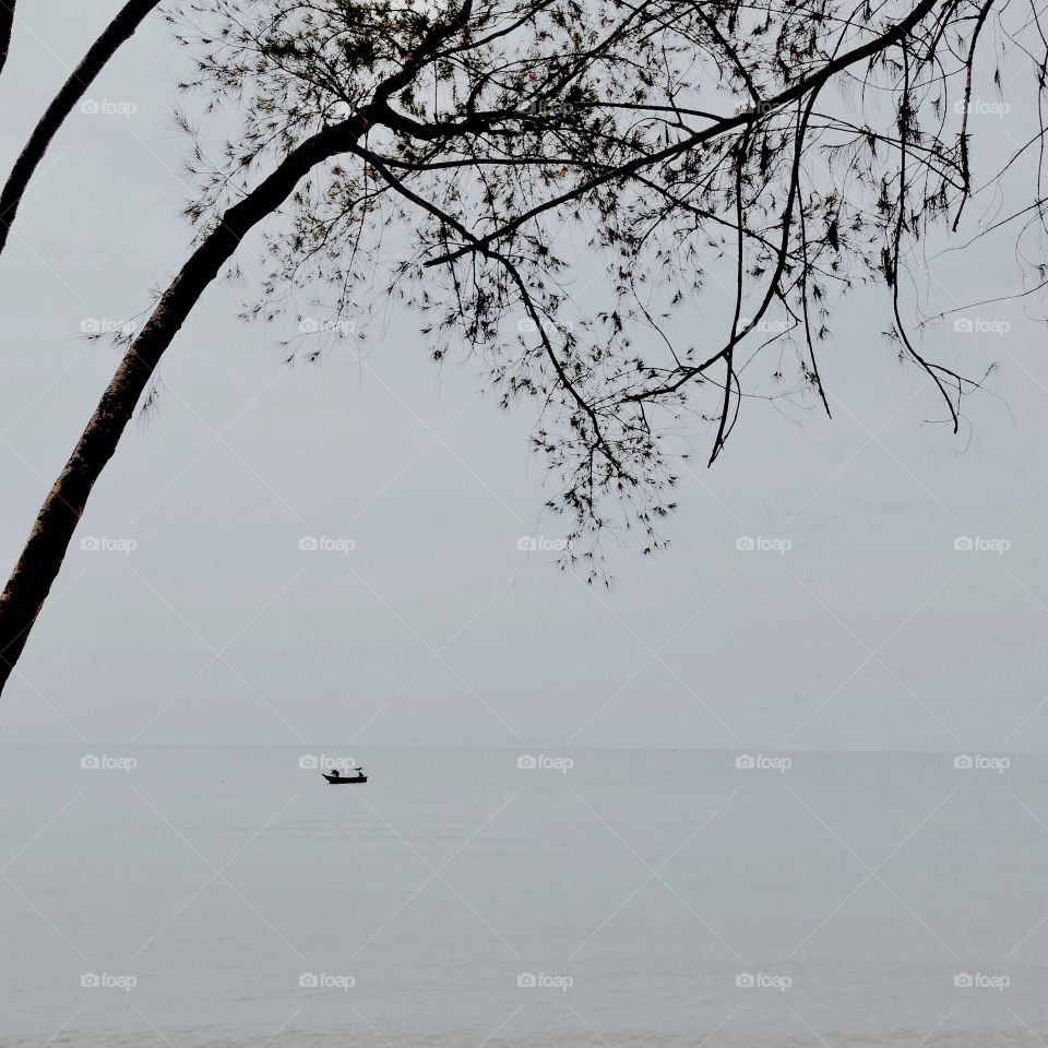 Landscape, Tree, Nature, Winter, Sky