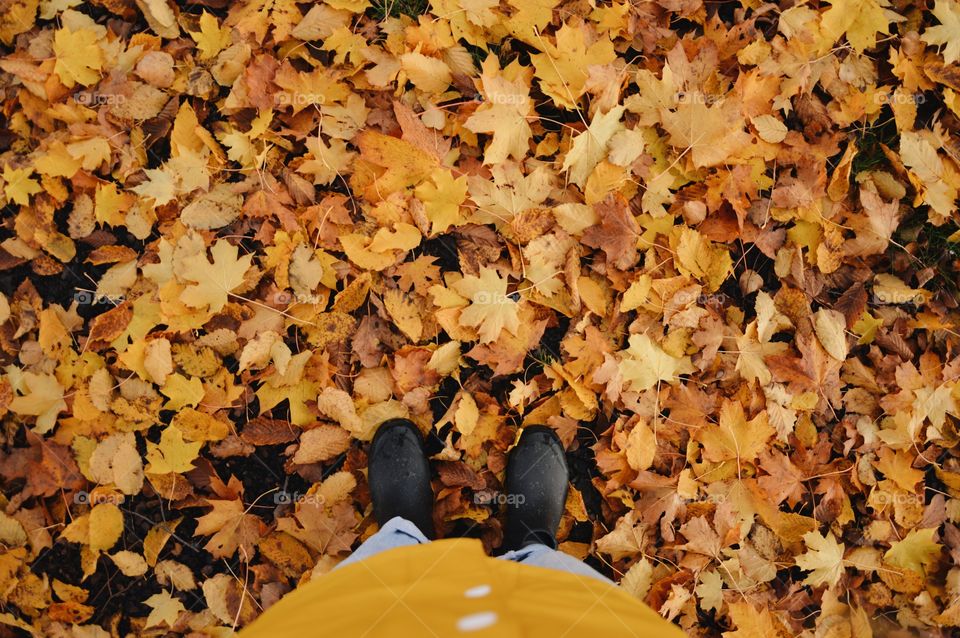 Overhead photo of a woman standing outdoors among leaves in autumn or fall season