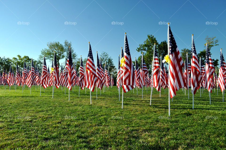 Flags