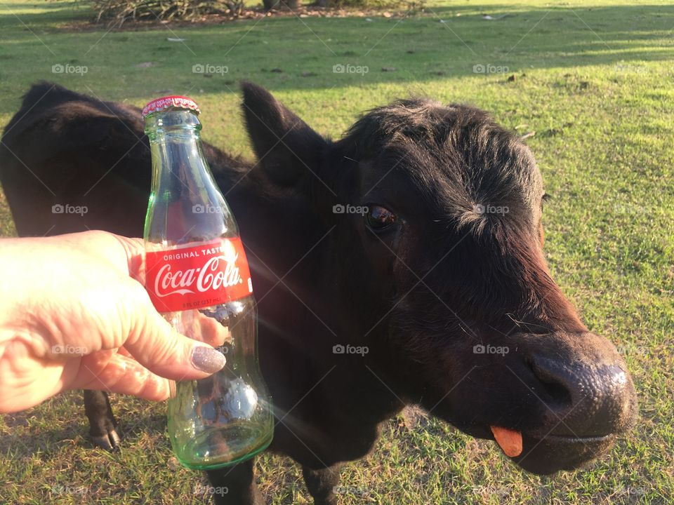 Coca-Cola photography mission 