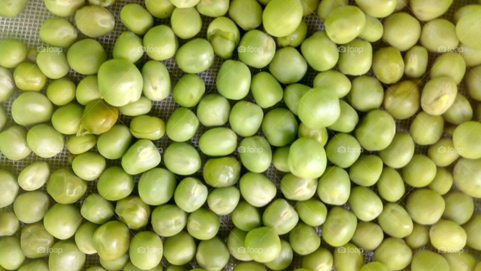 green pea