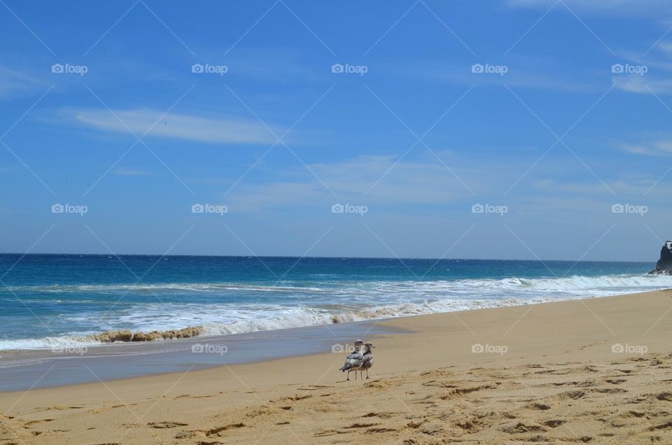 Beautiful nature of La Playa del Amor/ la Playa del Divorcio in Cabo San Lucas, Mexico