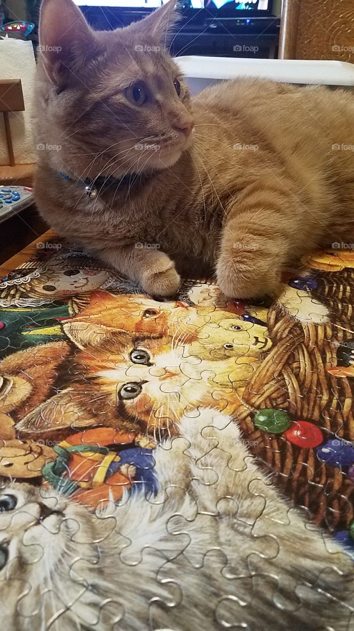 Max gives his approval