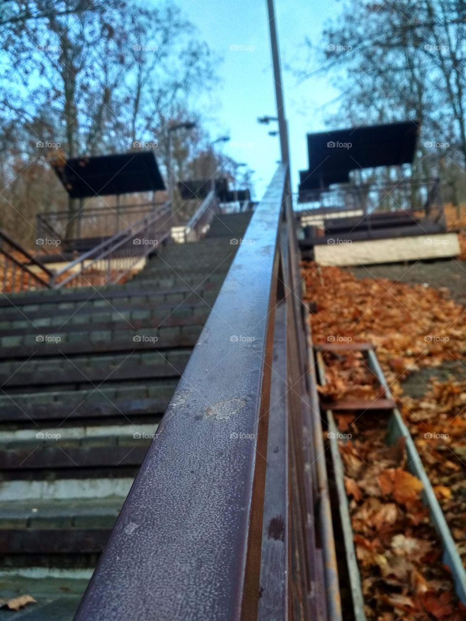 Walking stairs in autumn