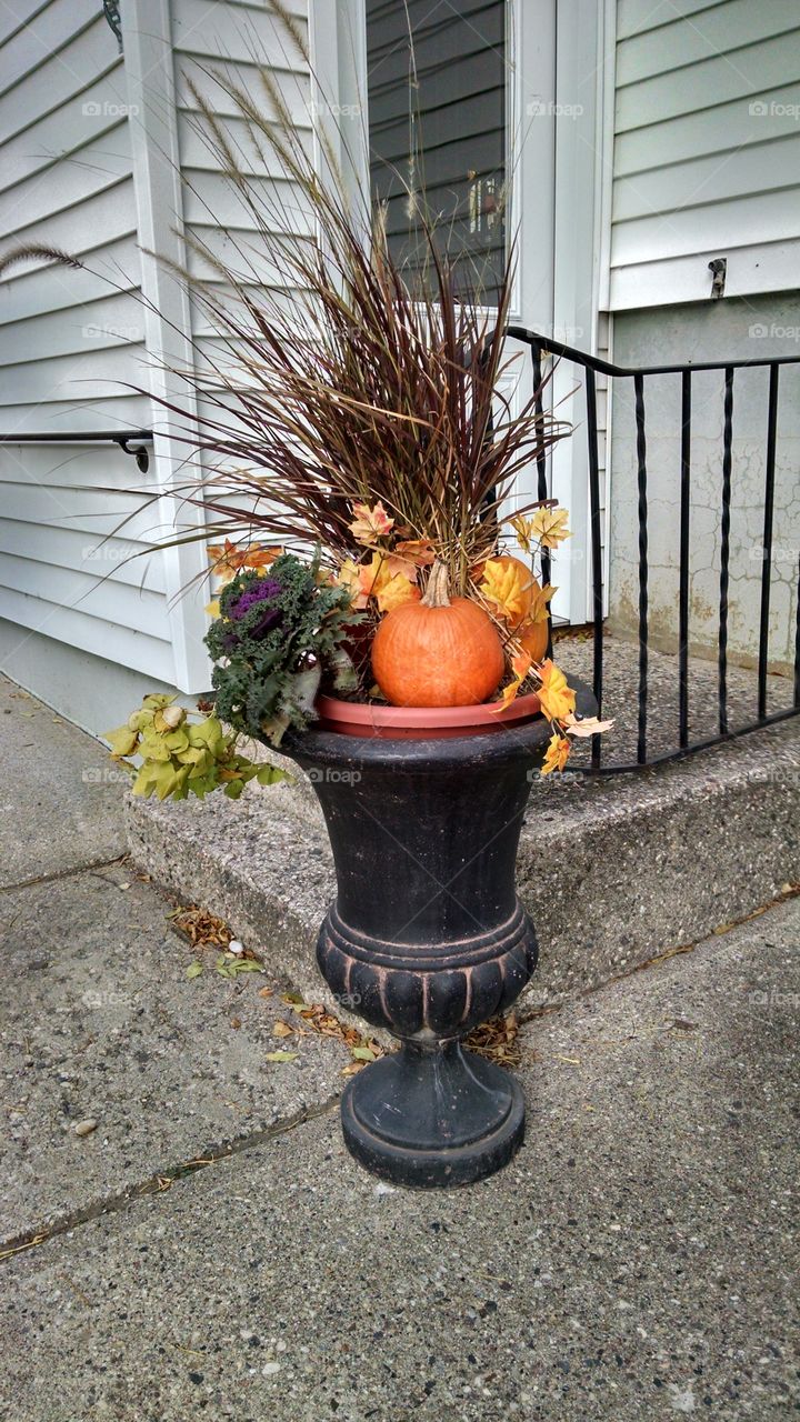 No Person, Flower, Garden, Pot, House