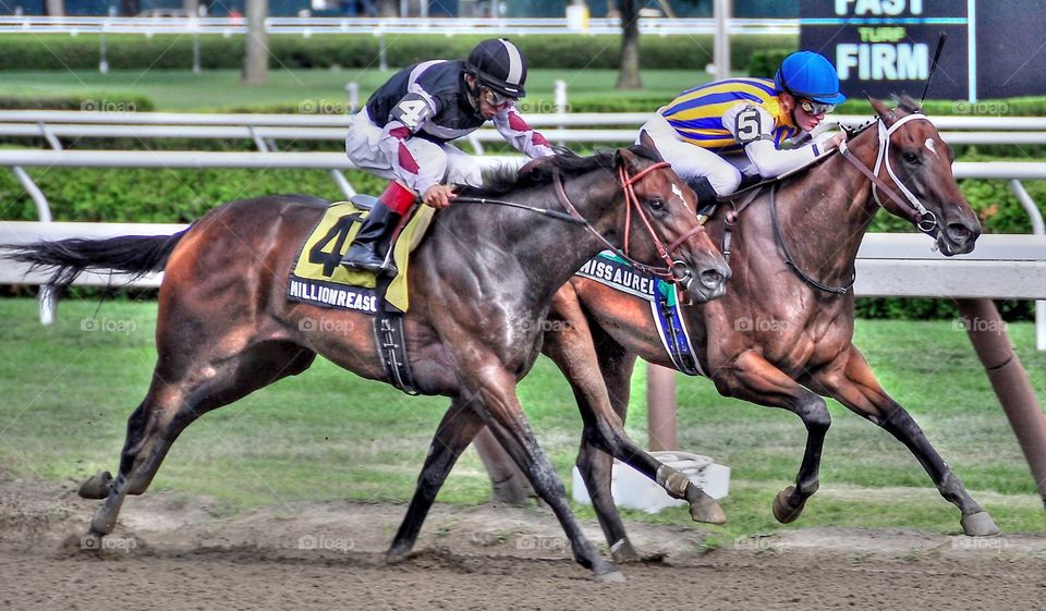 My Miss Aurelia. Champion juvenile filly My Miss Aurelia defeats Million Reasons Why in the Schuylerville stakes at historic Saratoga. 