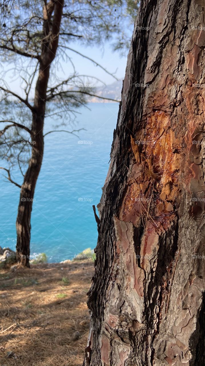 Beautiful view on the sea