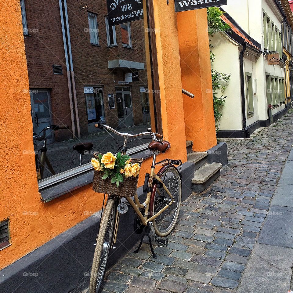 Bike reflection 