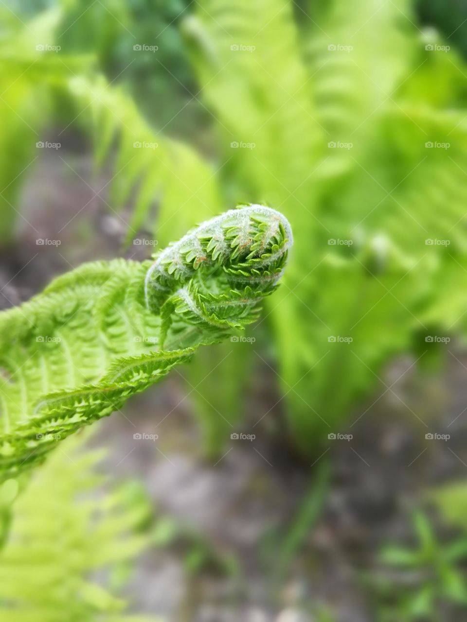 Начало нового