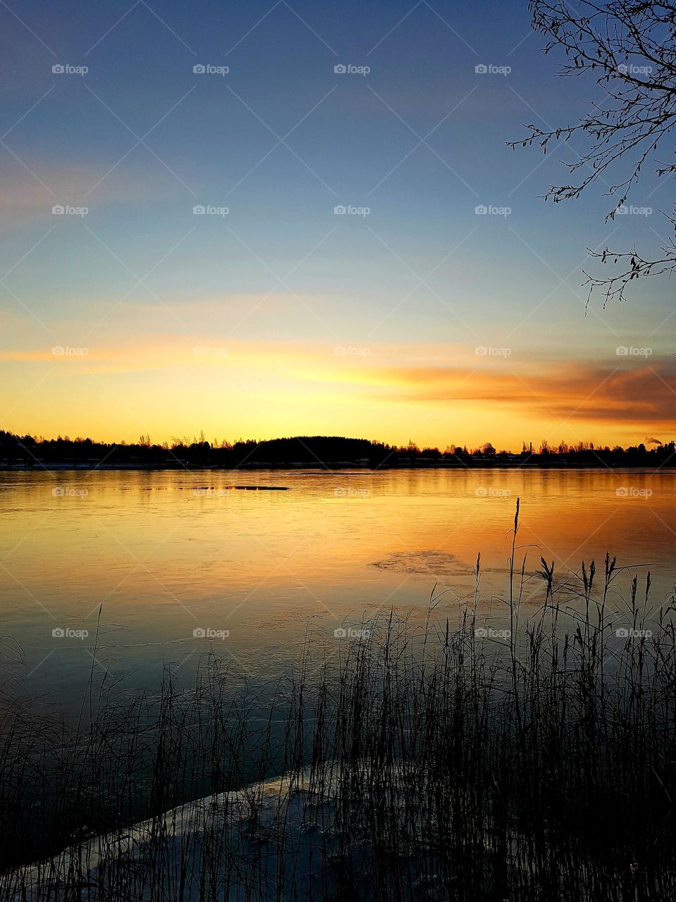 beautiful light in october