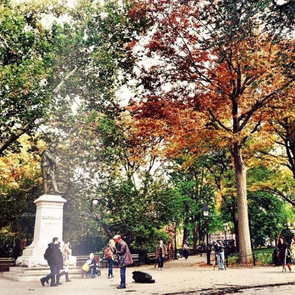 Autumn in Washington Square Park, 2014. 