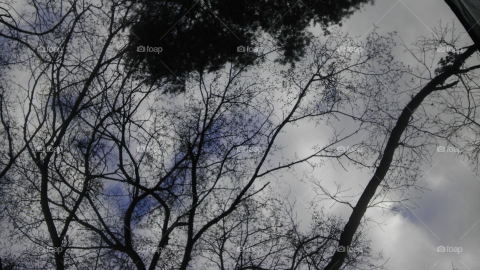 when the darkness falls