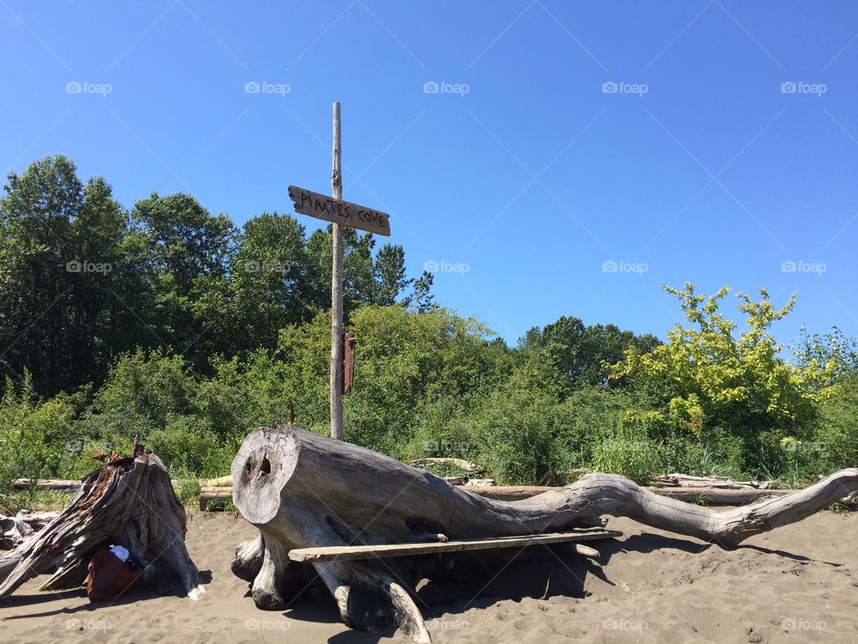 It's a pirates life for me.