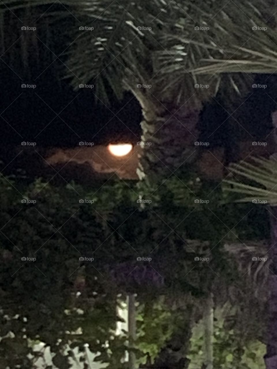 Hiding moon