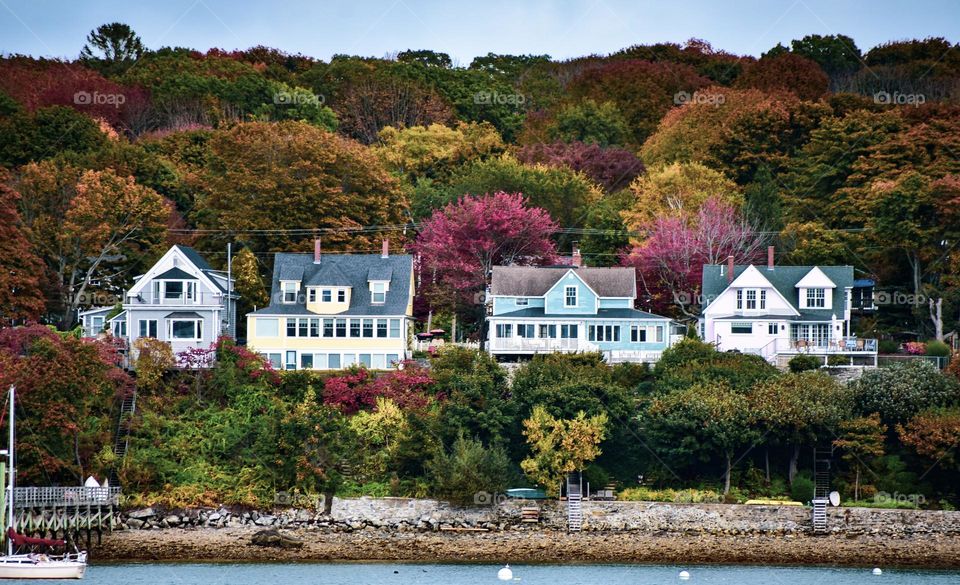 Who wouldn’t fall in love with these fall colors?
