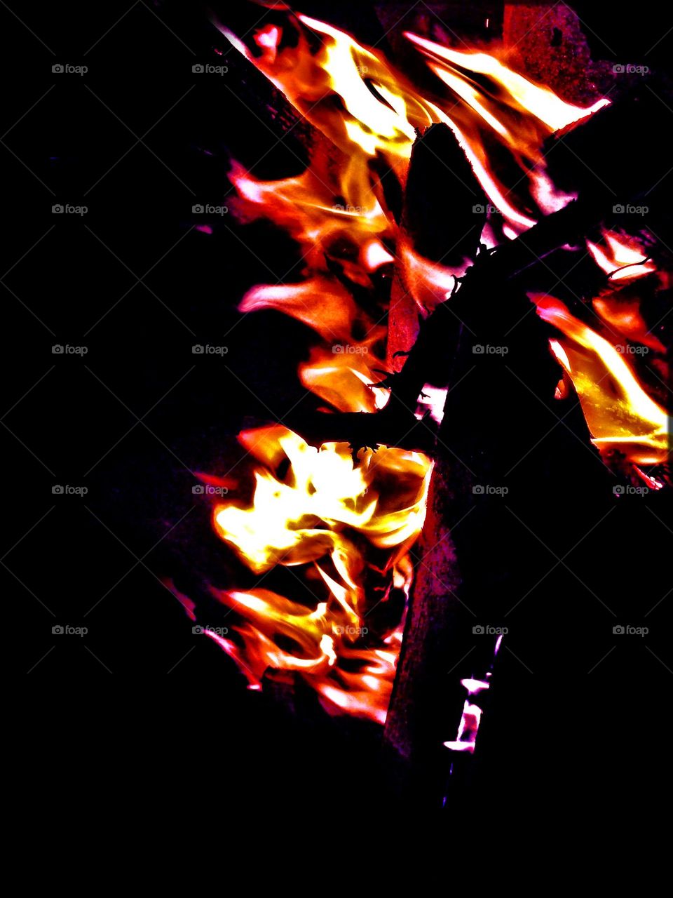 Fire flames close up shooting amazing colorful eye-catching summer vibes