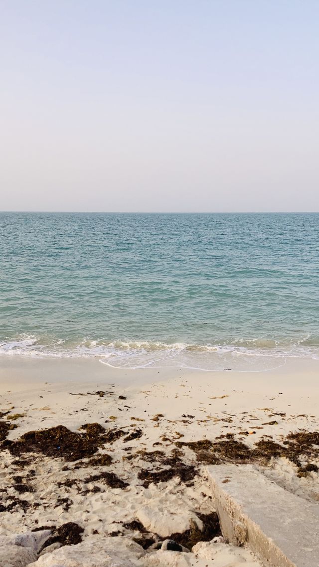 The beach 