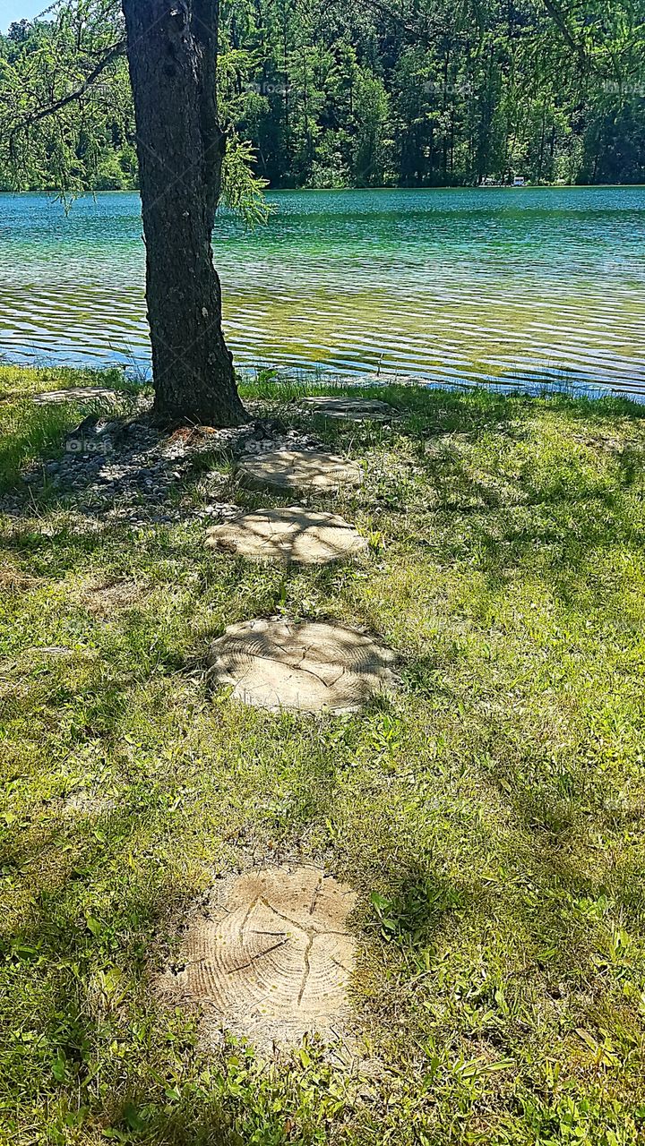 stepping stones by the lake