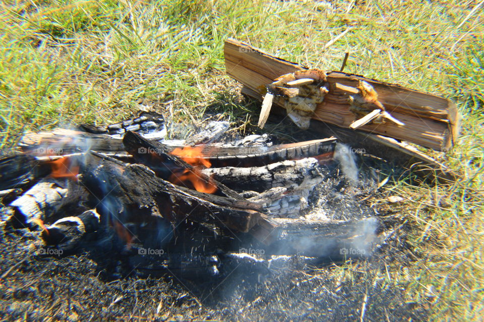 fried fish on the board