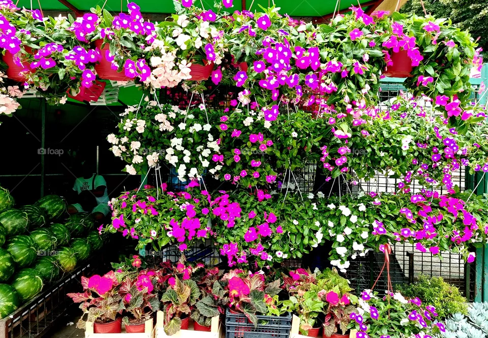 market
