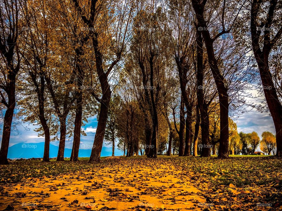 Path in Garda Lake Sirmione Italy 