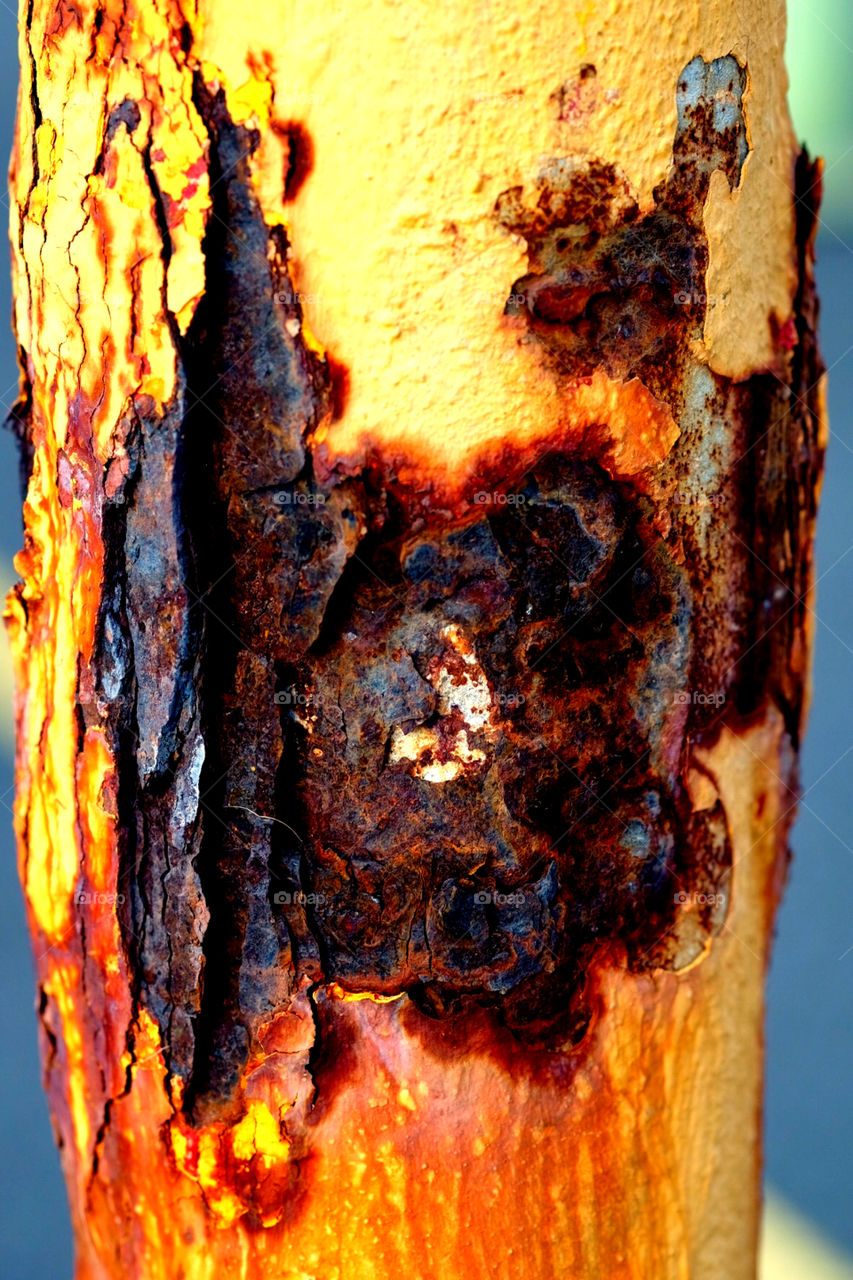 Closeup Of A Rusted Metal Piece Brightly Colored