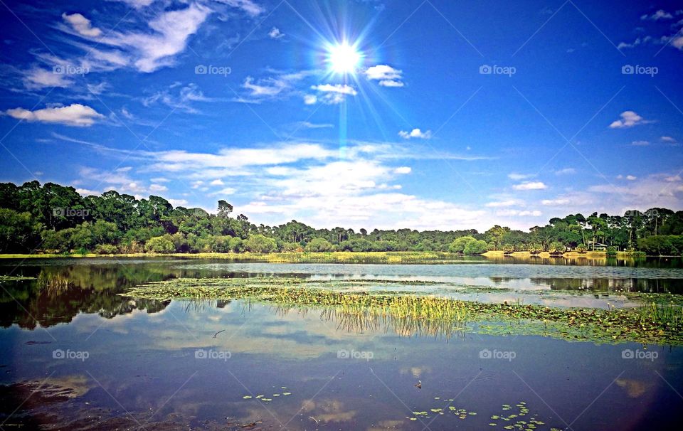 Wetlands in sunshine. Wetlands in sunshine