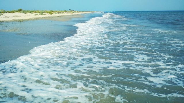 Seashore