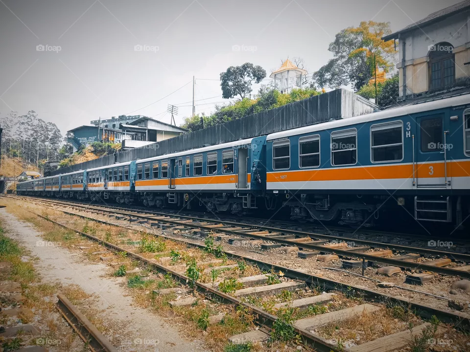 train