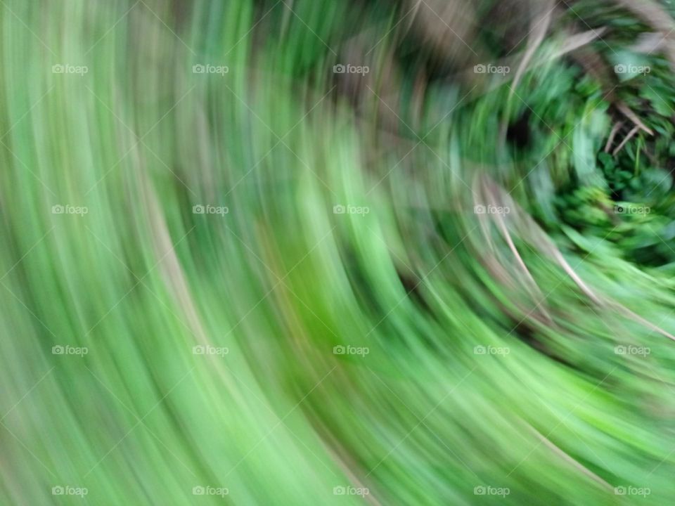 speed photography blur effects of the nature it's looking amazing with nice green background
