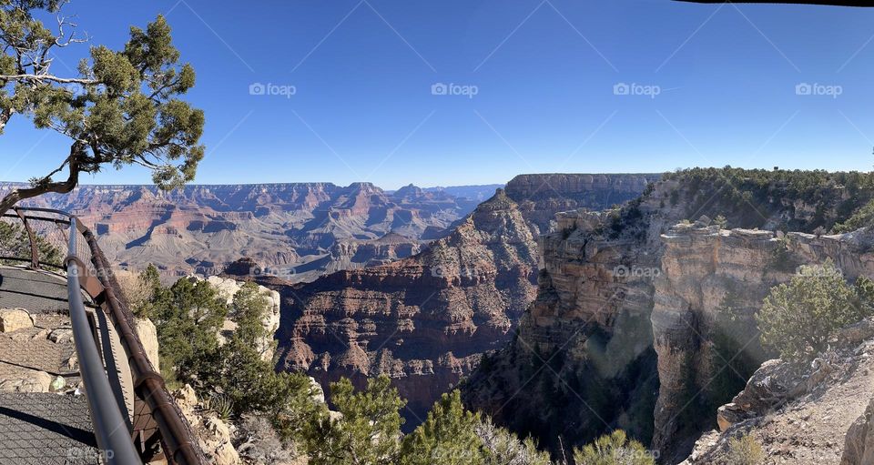 Stunning Arizona Grand Canyon South Rim Natural Wonder Desert plants beautiful blue skies