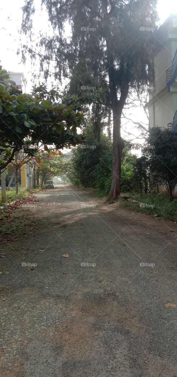 Beautiful Mornings 😊❤️✨