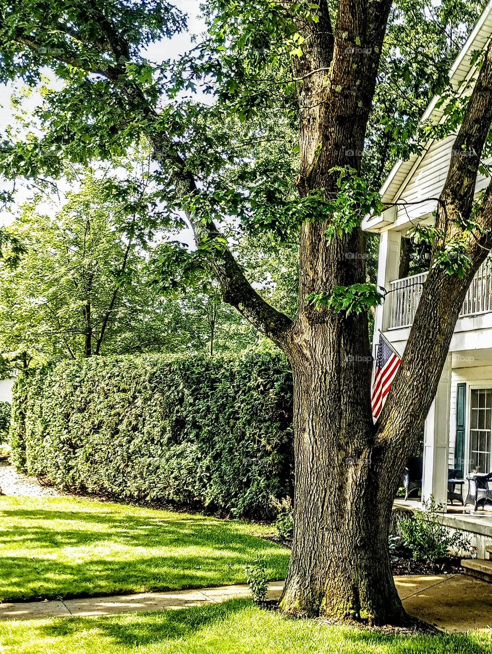 Flag in-between Branches