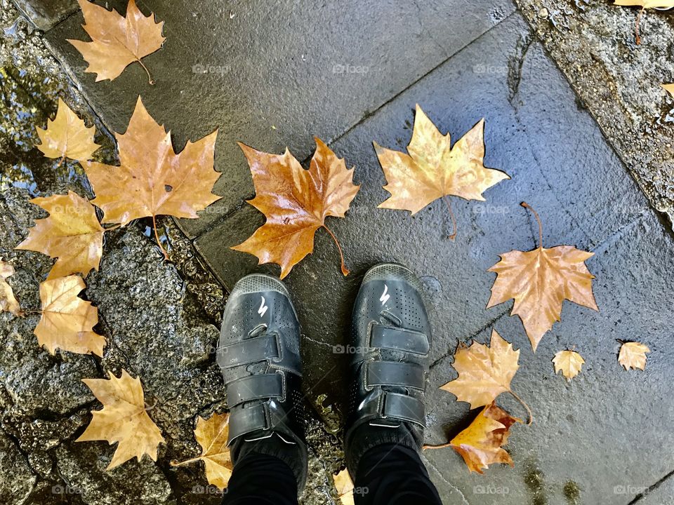 Outono no Caminho de Santiago de Compostela. 