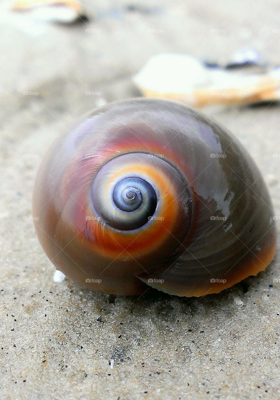 shell at sunrise park