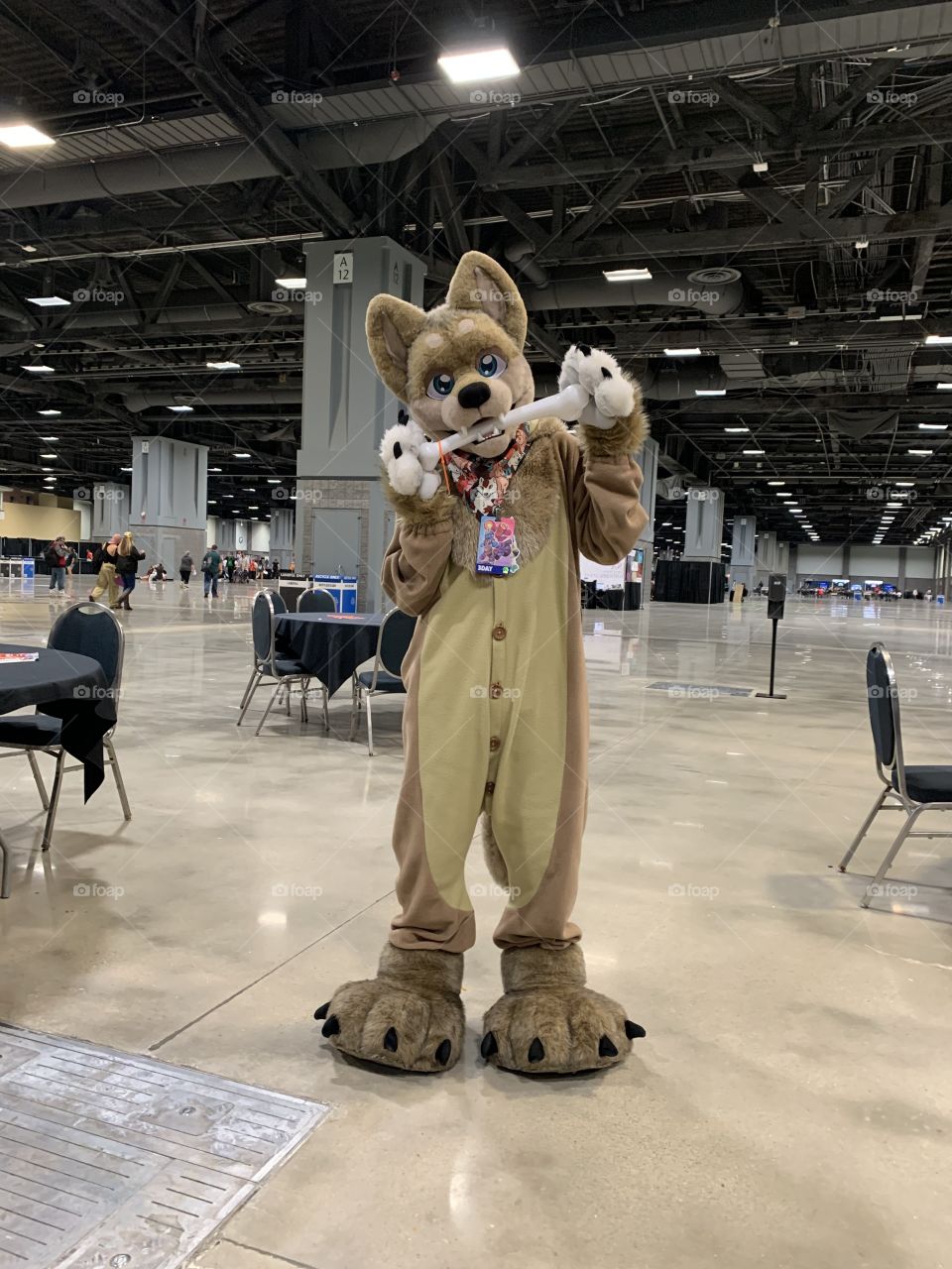 Give a doggie a bone 