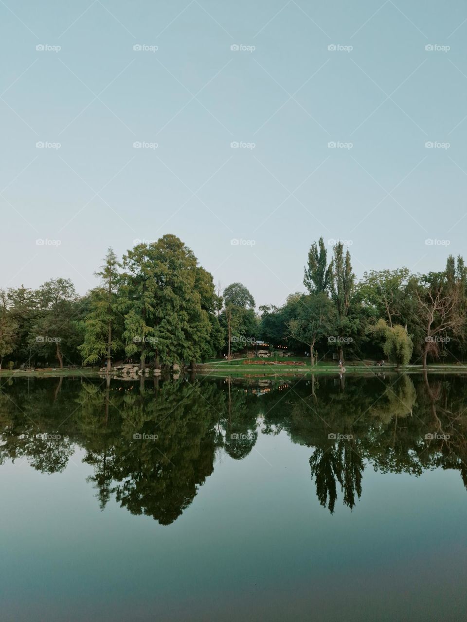 nature reflected in the lake