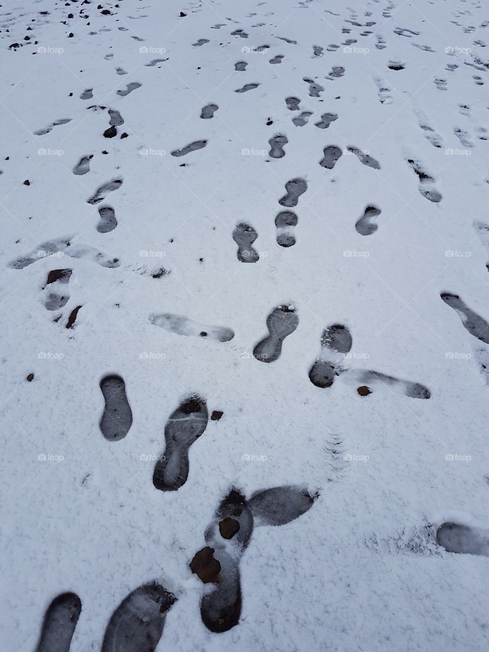 Footprints in the snow