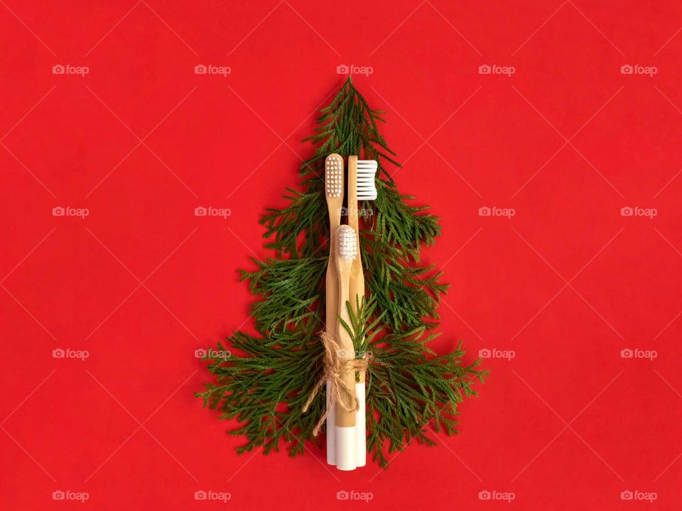 Bamboo toothbrushes on red, green white cedar, Christmas tree