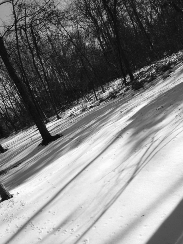 Black&white 
Sideways