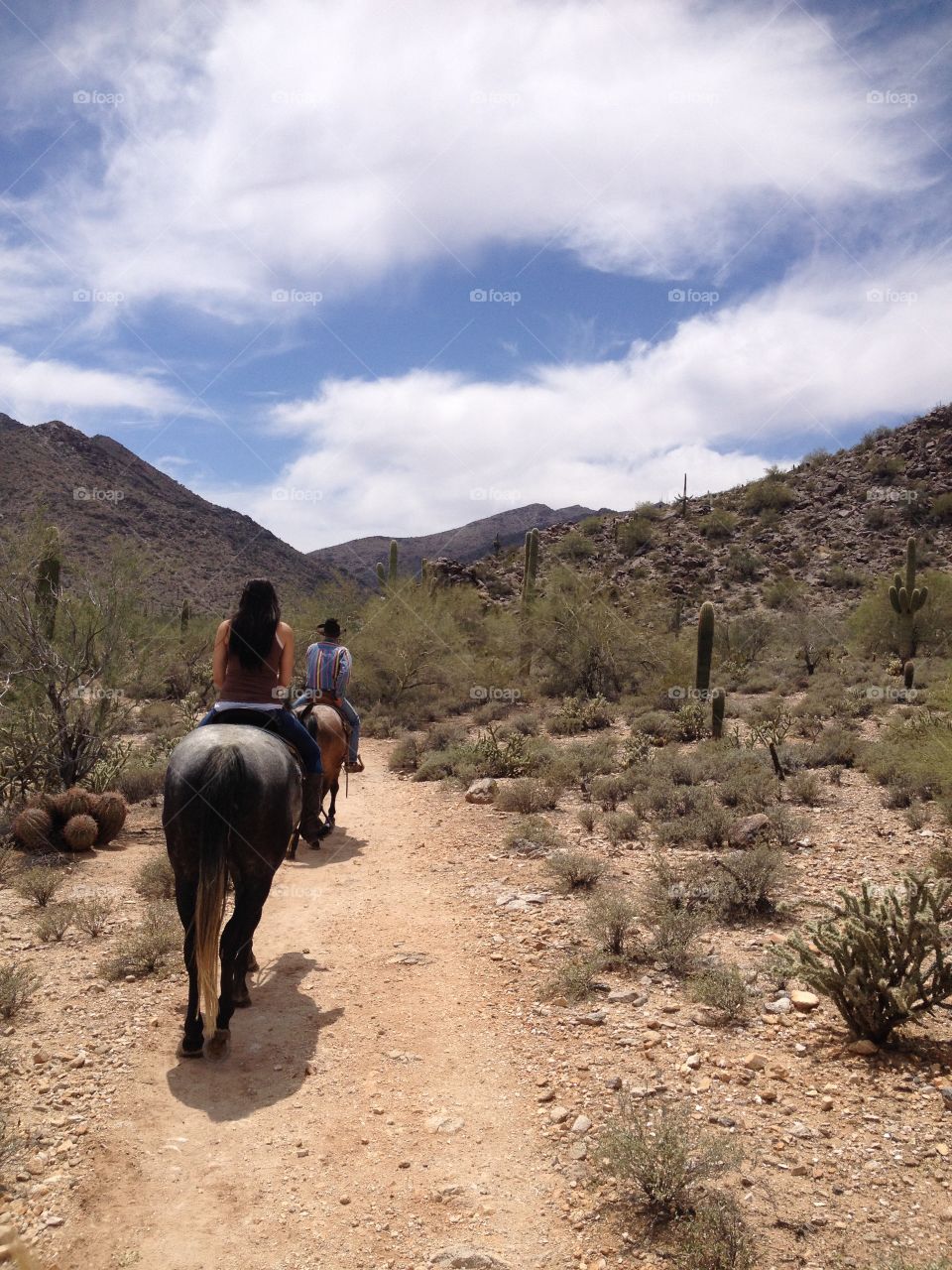 Desert trails. Horseback riding in the White Tank Mt. Regional Park.